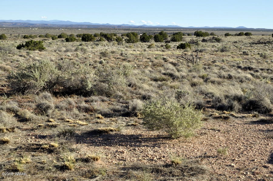 8566 Ledger Ranch Trail Snowflake, AZ 85937 - Photo 33 of 36 Gallery Image 33