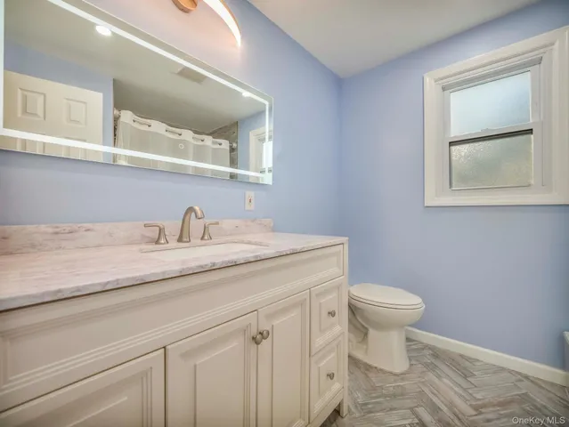 a bathroom with a sink and a toilet