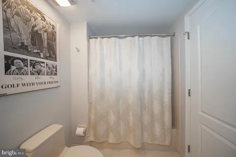 a white toilet sitting next to a shower curtain