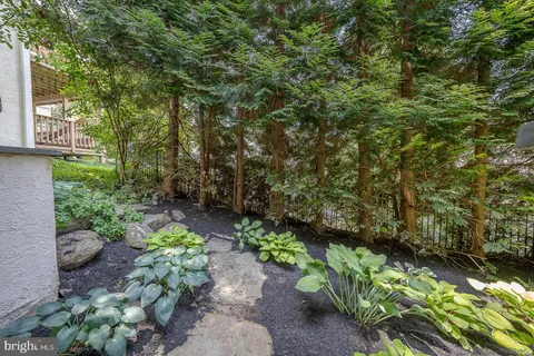 a view of a garden with plants