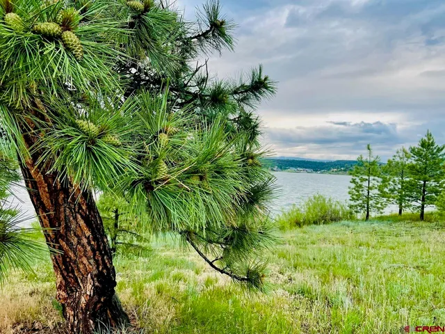 $625,000 | 119 La Ventana, Pagosa Springs, CO 81147