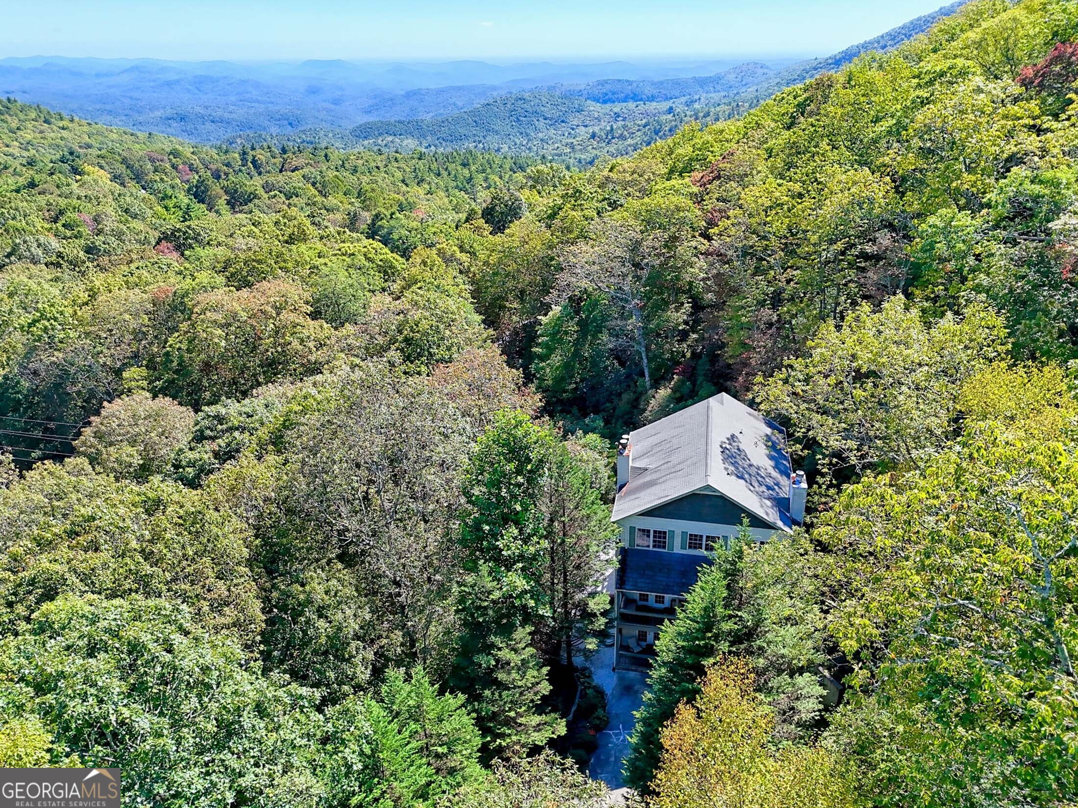 3315 Bald Mountain Road Dillard, GA 30537 - Photo 3 of 79 a view of a lush green field with a tree