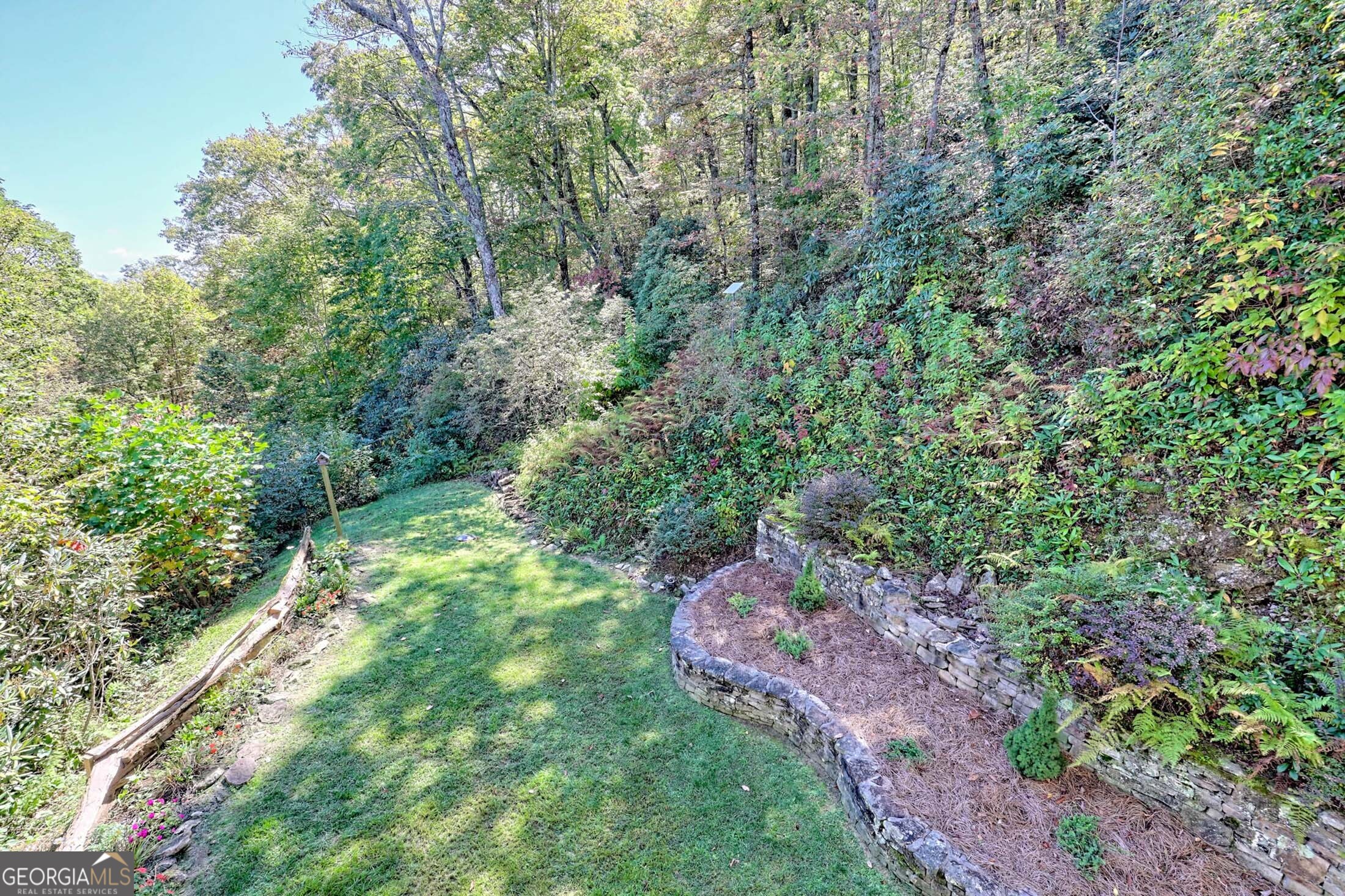 3315 Bald Mountain Road Dillard, GA 30537 - Photo 31 of 79 a big yard with lots of green space and deers