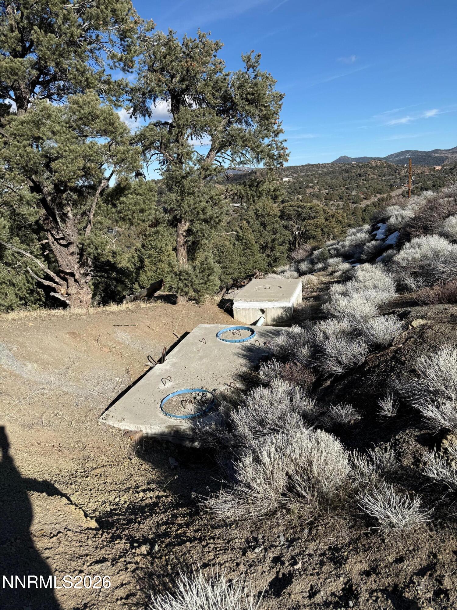 1810 Harte Road Reno, NV 89521 - Photo 2 of 7 a view of a backyard of a house