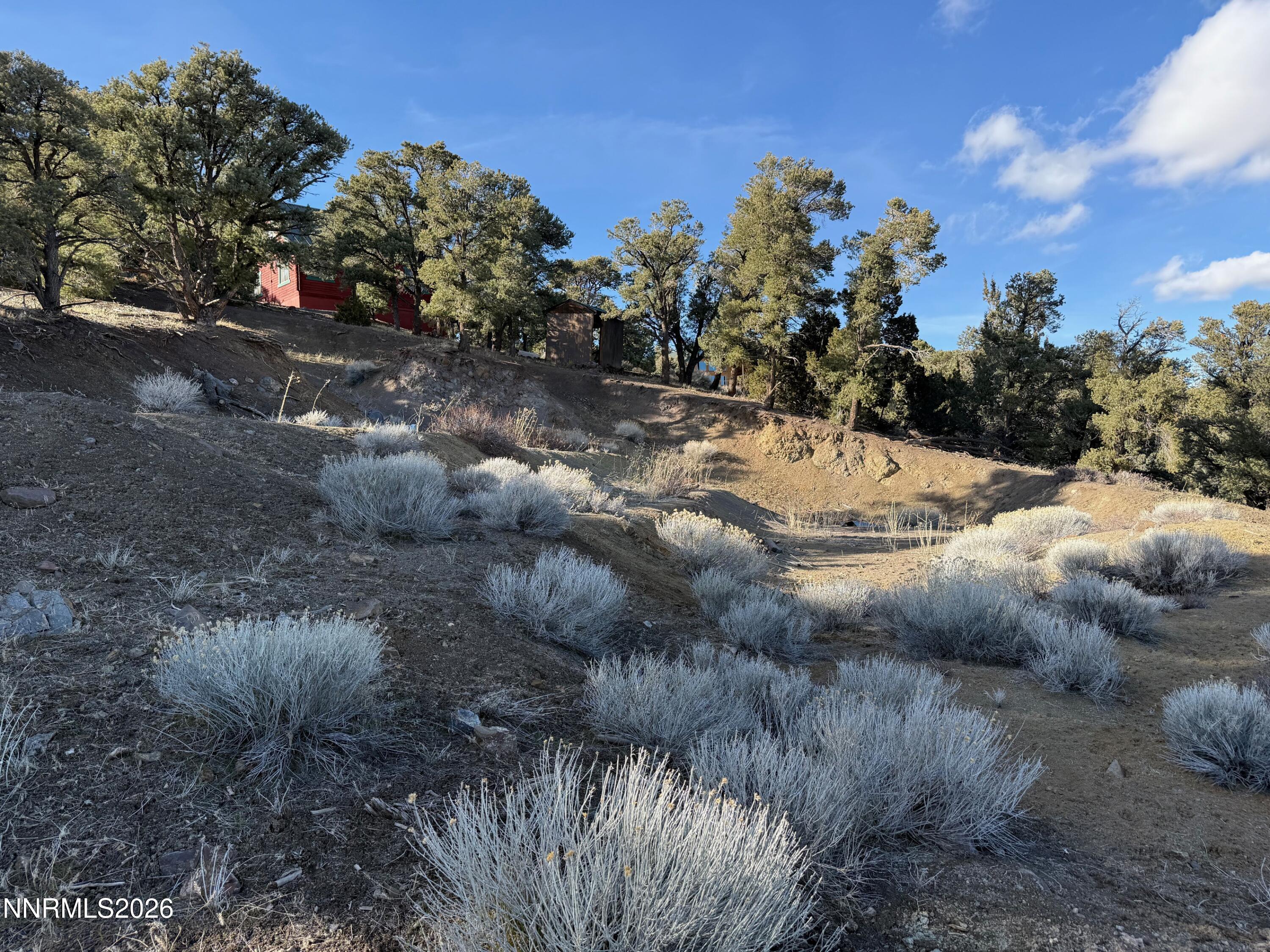 1810 Harte Road Reno, NV 89521 - Photo 5 of 7 a view of a dry yard with trees