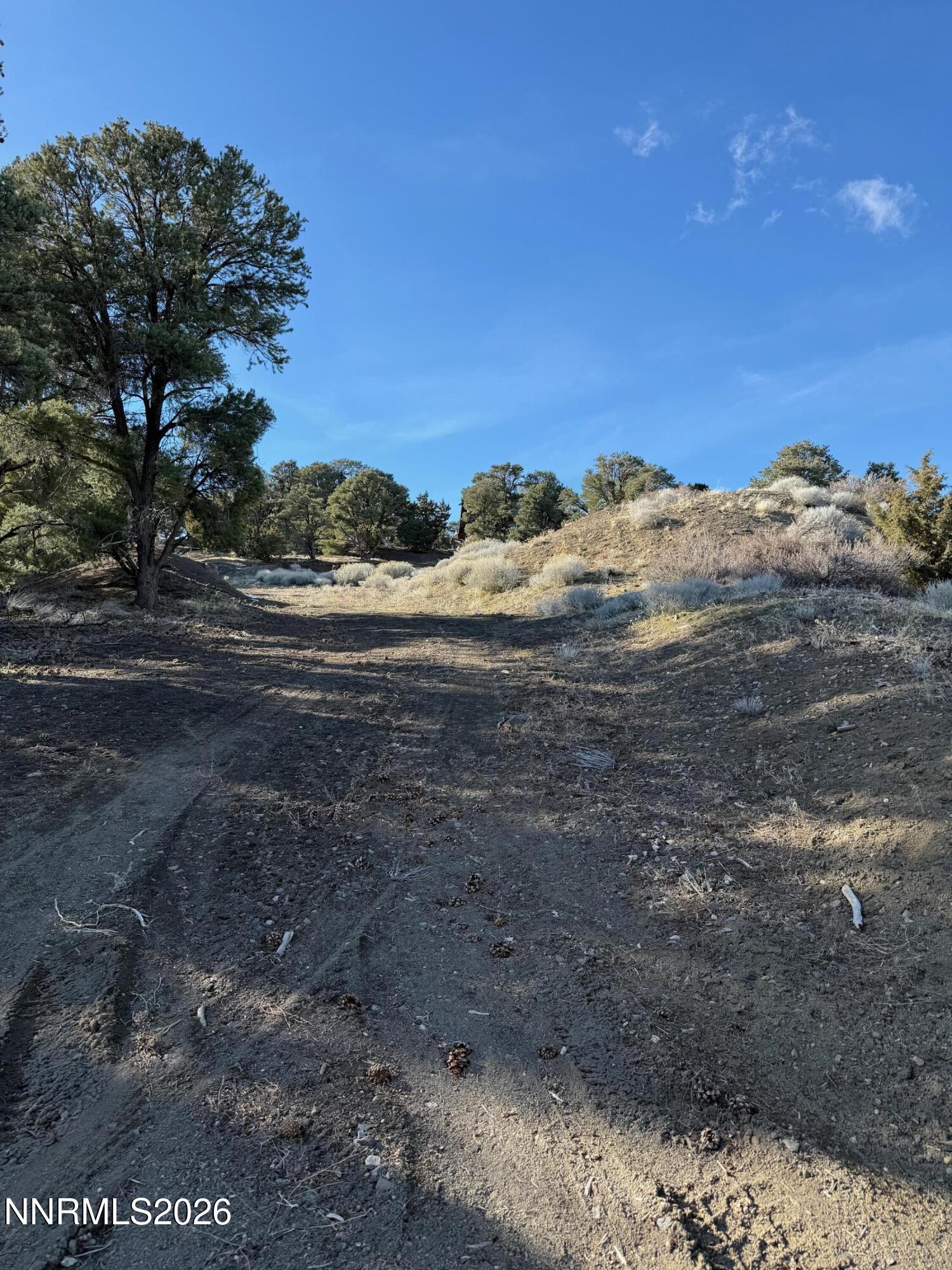 1810 Harte Road Reno, NV 89521 - Photo 6 of 7 a view of a yard with mountain view