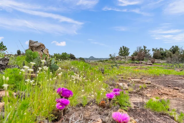 a view of a pathway with a yard