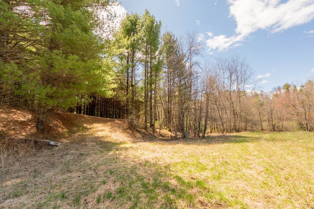 0 Windsor Road Northwest, Unit 3 Willis, VA 24380 - Photo 11 of 47 Gallery Image 11