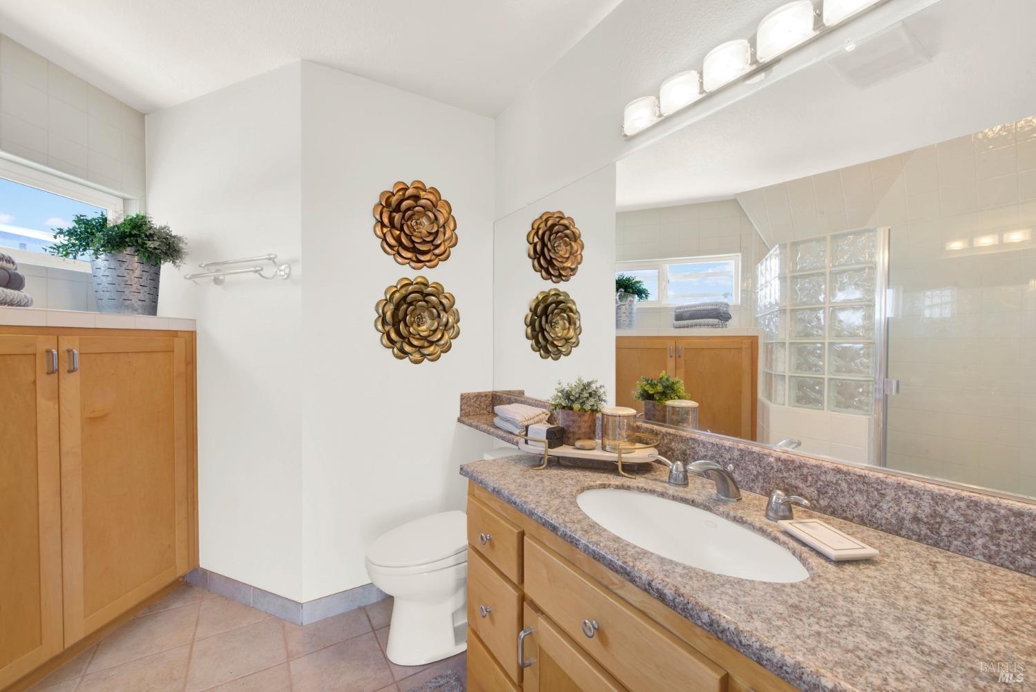 8560 Holmes Lane Winters, CA 95694 - Photo 32 of 98 Main Level Primary Ensuite. Bathroom Area.