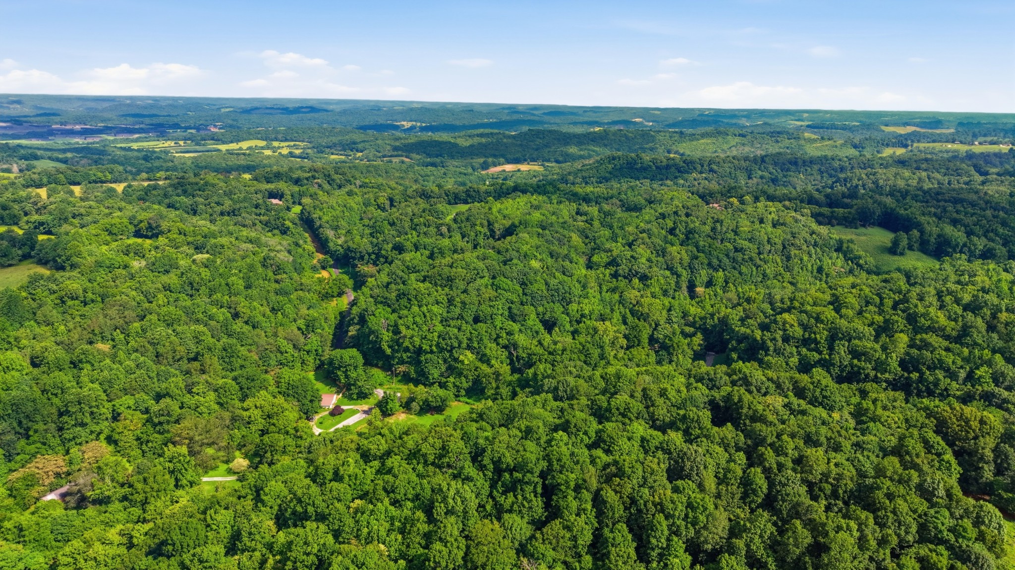 1155 Dry Prong Road Mulberry, TN 37359 - Photo 10 of 15