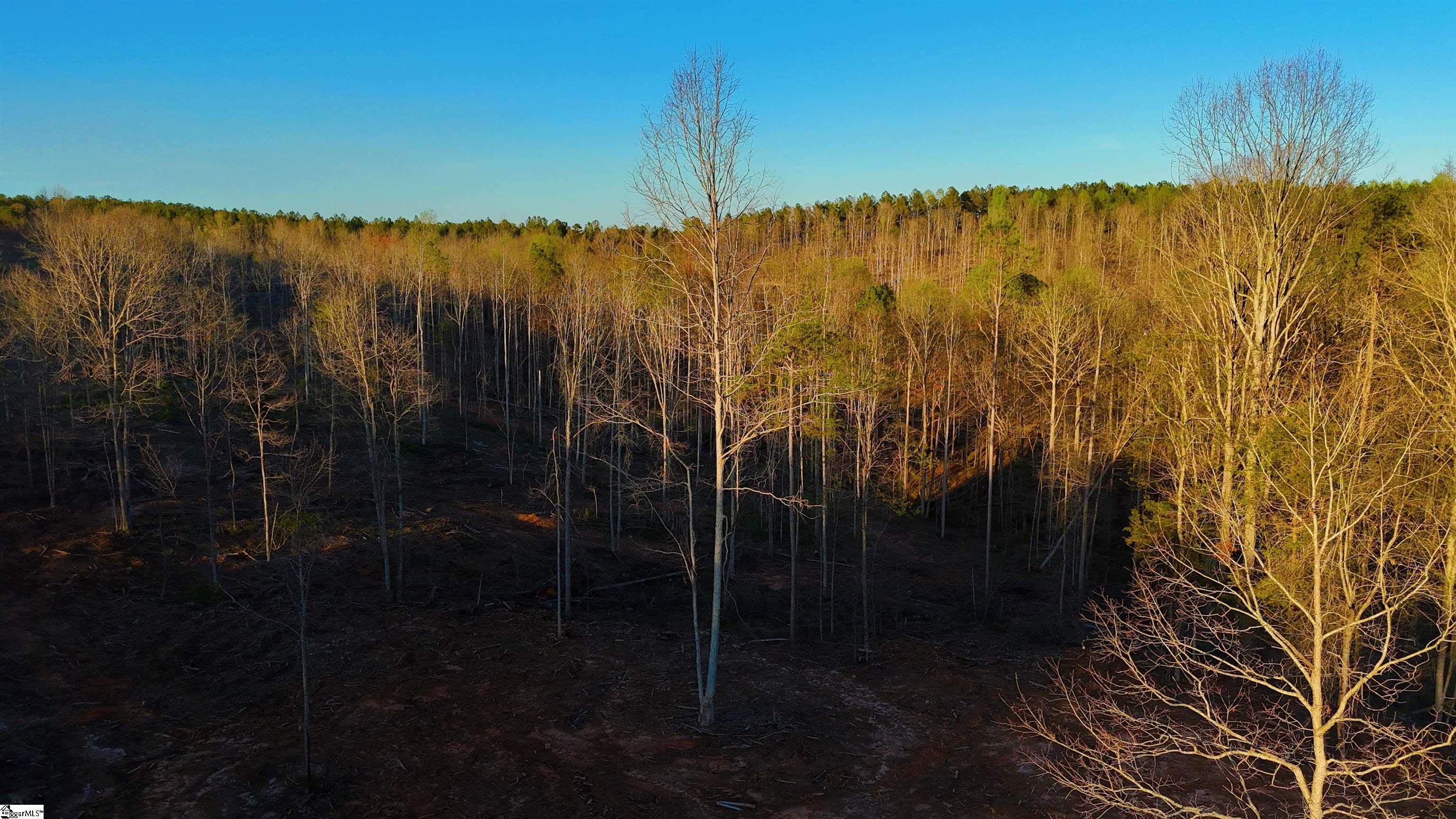 6 Tower Road Toccoa, GA 30577 - Photo 6 of 13 Gallery Image 6