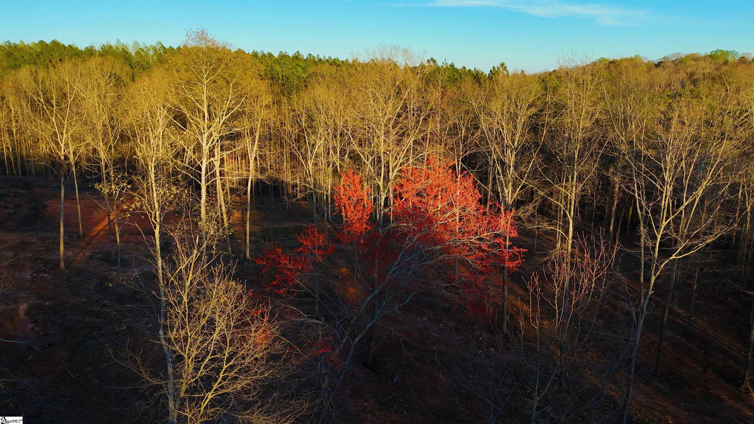 6 Tower Road Toccoa, GA 30577 - Photo 9 of 13 Gallery Image 9