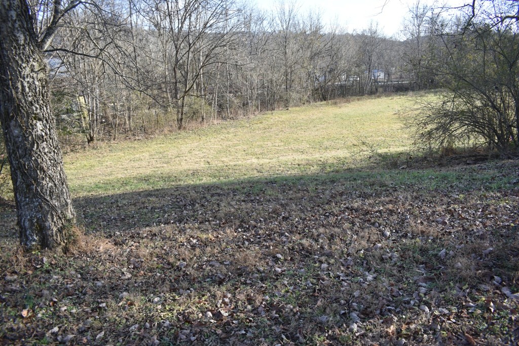 5 Dog Branch Road Pleasant Shade, TN 37145 - Photo 6 of 8 a view of a yard with a tree