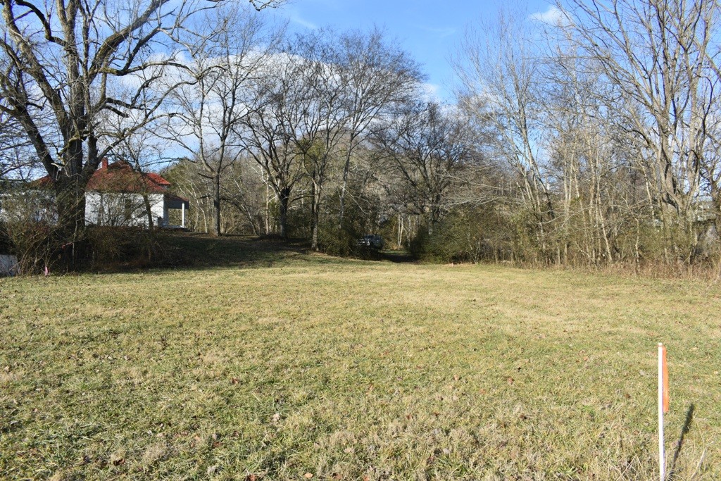 5 Dog Branch Road Pleasant Shade, TN 37145 - Photo 7 of 8 a view of a yard