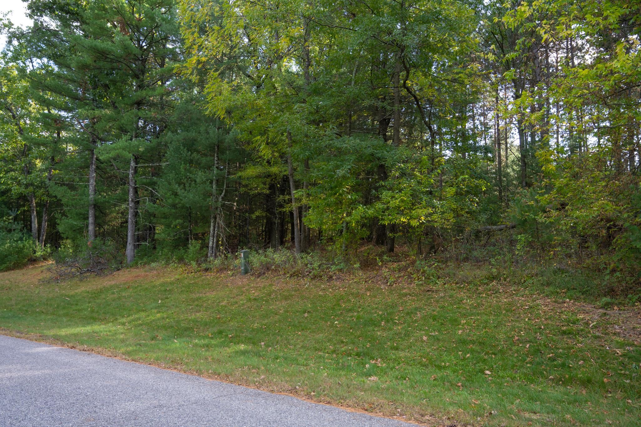 W1541 Buffalo Lyndon Sta