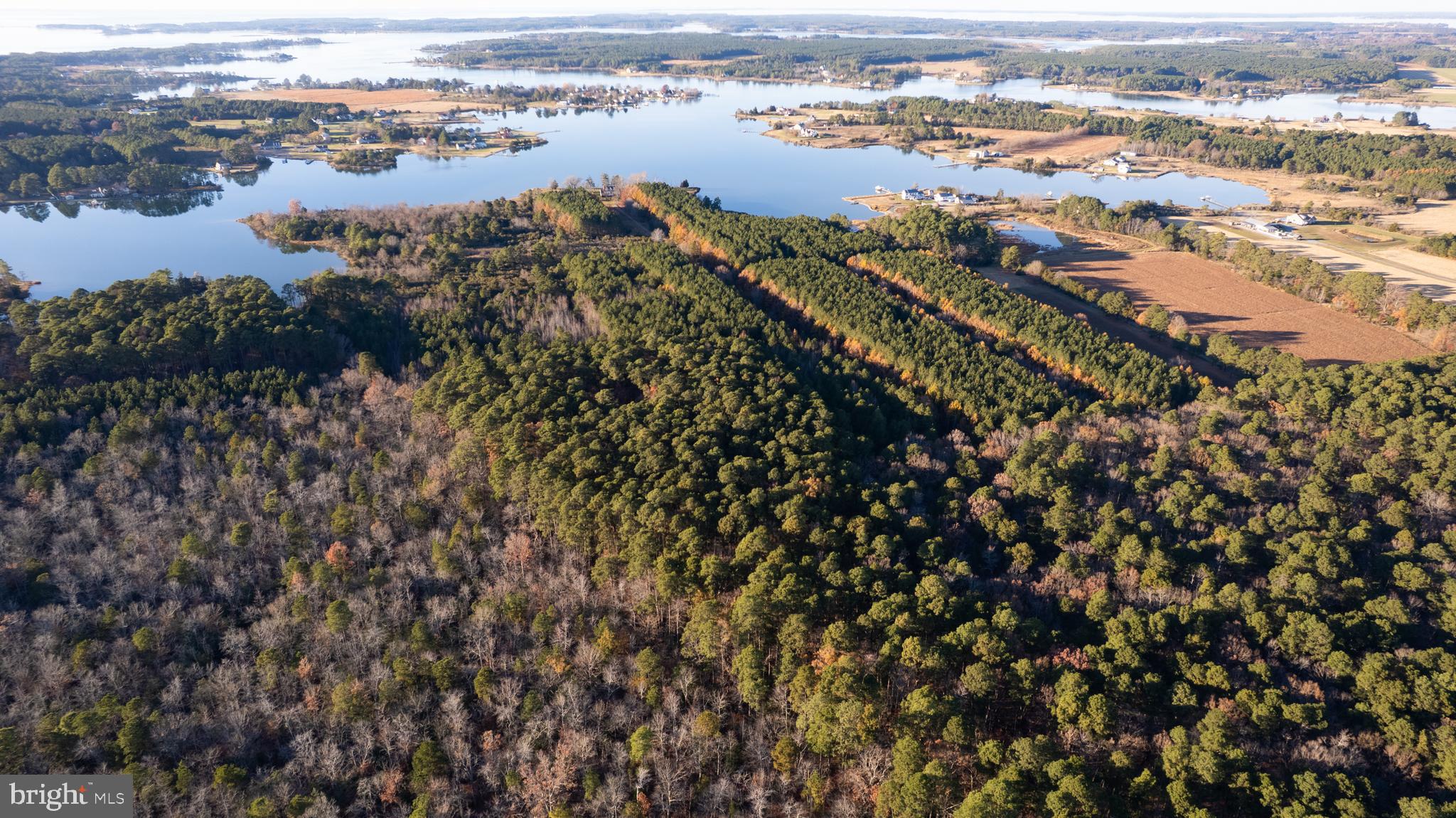 an aerial view of lake and residential houses with outdoor space