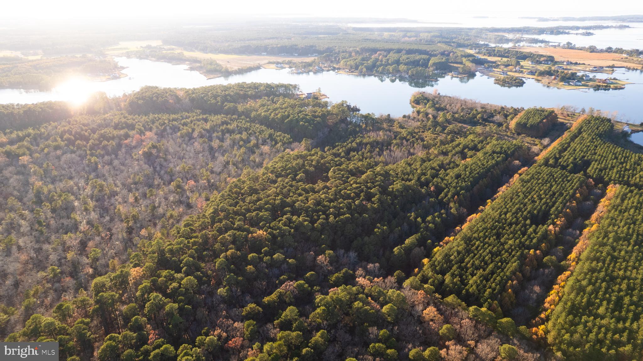 Gregory Road Cambridge, MD 21613 - Photo 11 of 27 a view of city and ocean