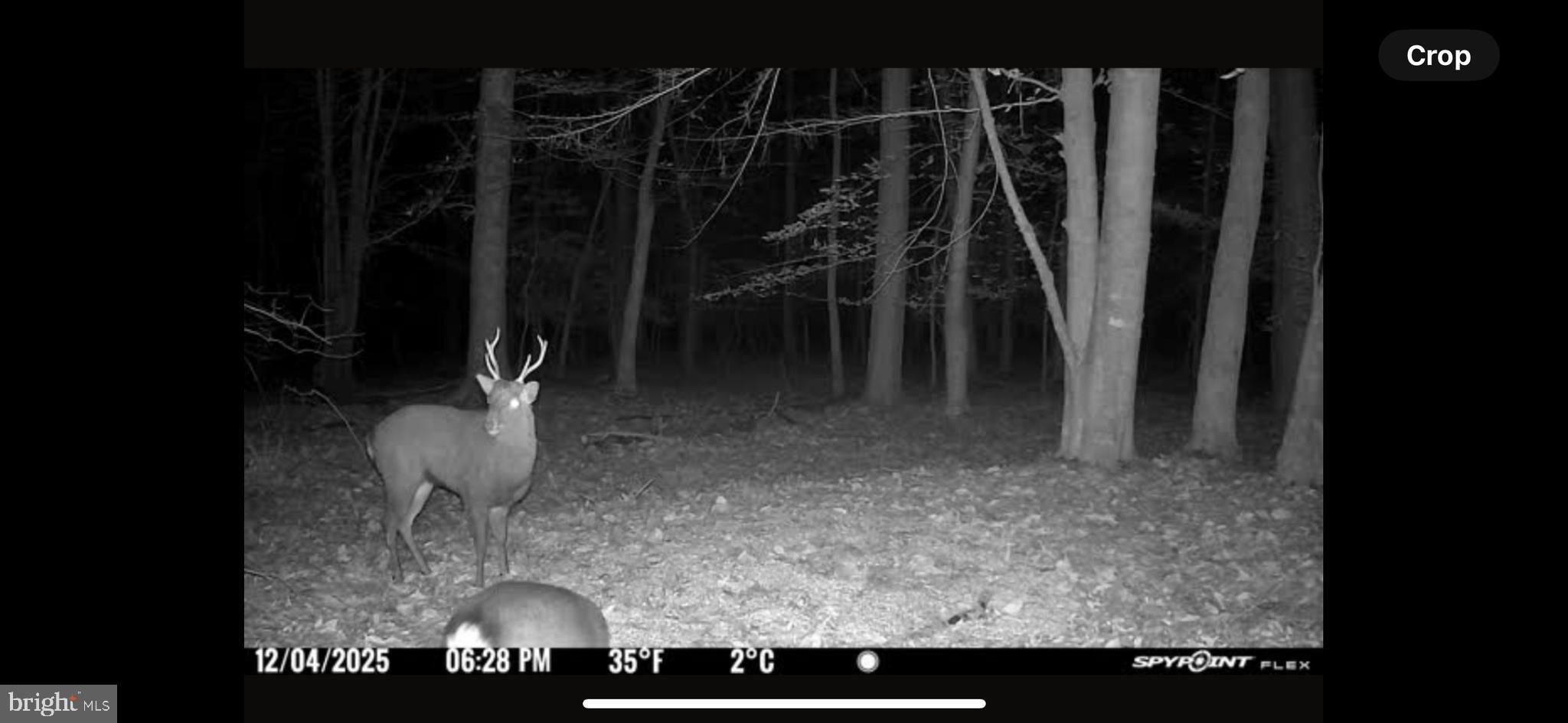 Gregory Road Cambridge, MD 21613 - Photo 17 of 27 a view of walk in closet with clothes and shoes
