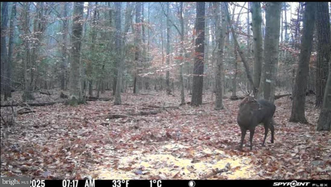 Gregory Road Cambridge, MD 21613 - Photo 19 of 27 a view of a backyard