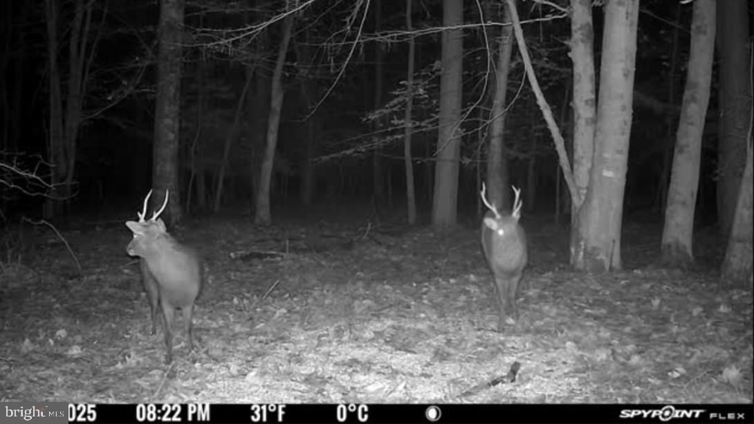 Gregory Road Cambridge, MD 21613 - Photo 20 of 27 a view of a closet