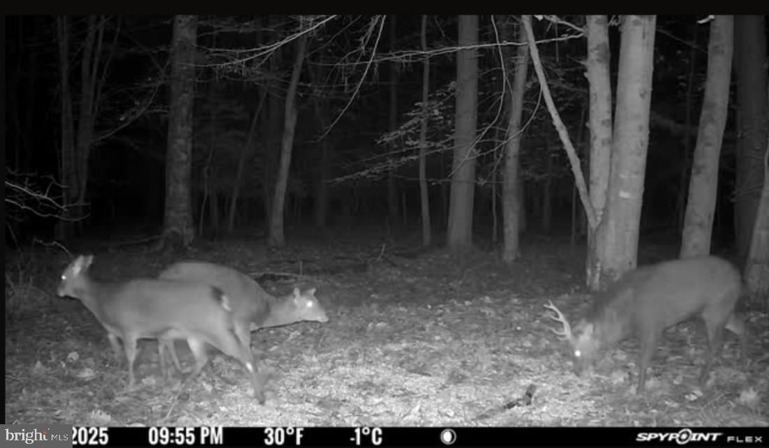 Gregory Road Cambridge, MD 21613 - Photo 21 of 27 a view of storage and utility room