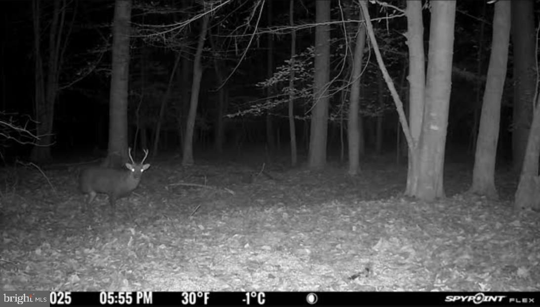 Gregory Road Cambridge, MD 21613 - Photo 22 of 27 a view of a room with wooden floor