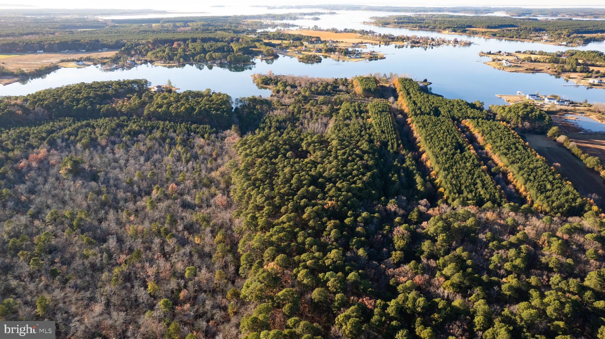 Gregory Road Cambridge, MD 21613 - Photo 3 of 27 a view of lake with mountain