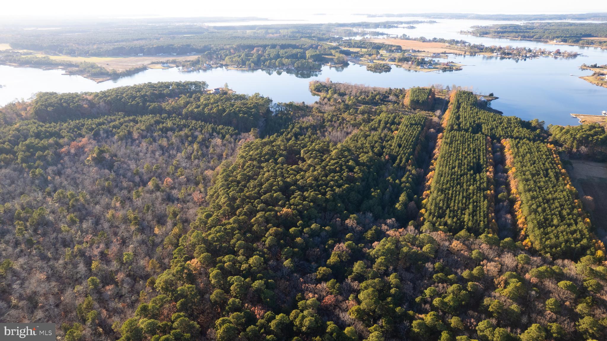Gregory Road Cambridge, MD 21613 - Photo 10 of 27 a view of a lake from a city