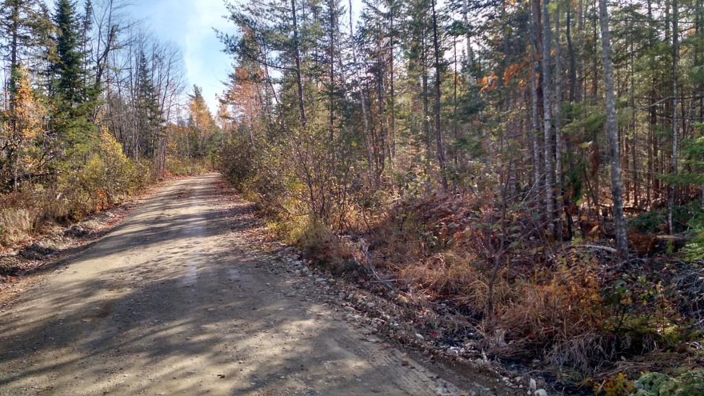 Lot 9 Lower Drew Road Kingman, ME 04451 - Photo 4 of 6 Photo
