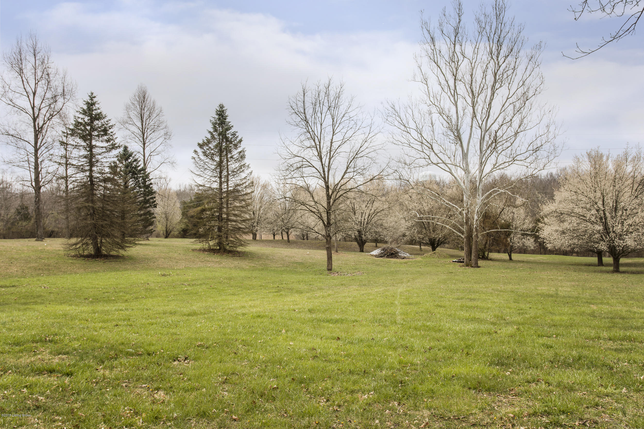1908 Hunters Trace Road La Grange, KY 40031 - Photo 51 of 55 51-rear view