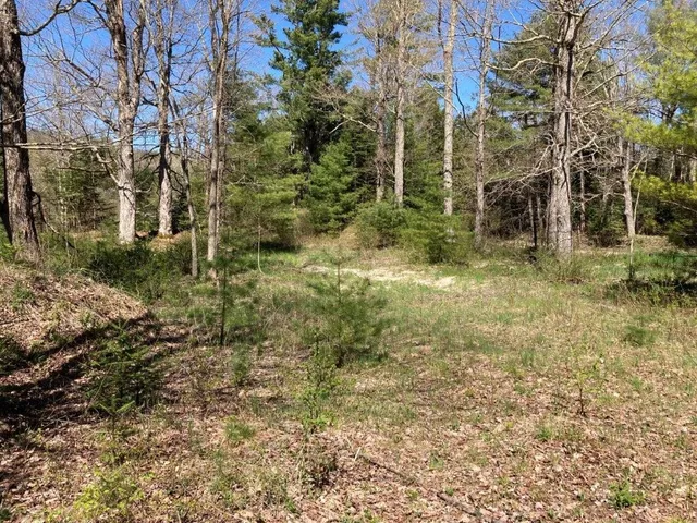 $895,000 | 0 Us Route 4, Canaan, NH 03741