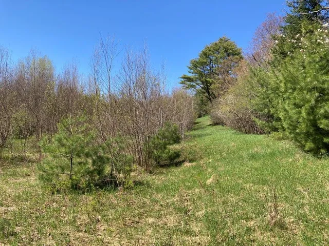 $895,000 | 0 Us Route 4, Canaan, NH 03741