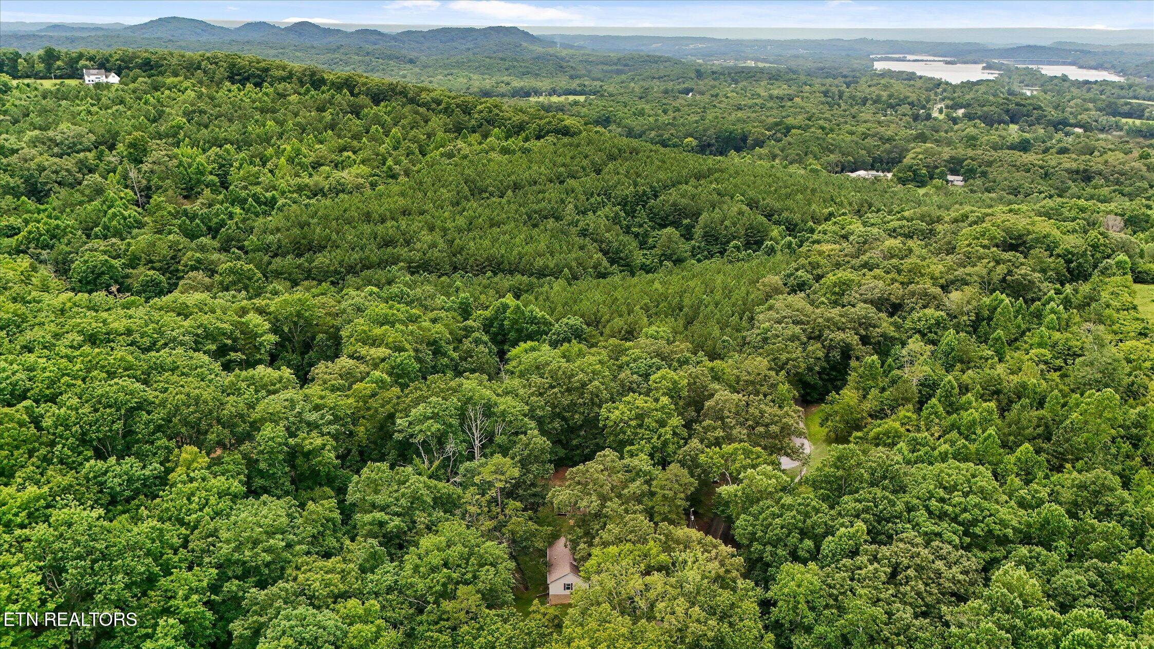 1331 Eads Bluff Road Northwest Georgetown, TN 37336 - Photo 55 of 60 09-Eads Bluff-55