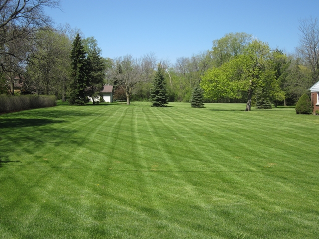 1370 Lee Road Northbrook, IL 60062 - Photo 3 of 4 a big yard with lots of green space