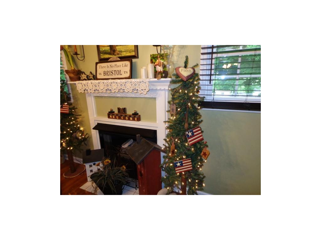 236 Cherokee Road Bristol, VA 24201 - Photo 20 of 25 Fireplace