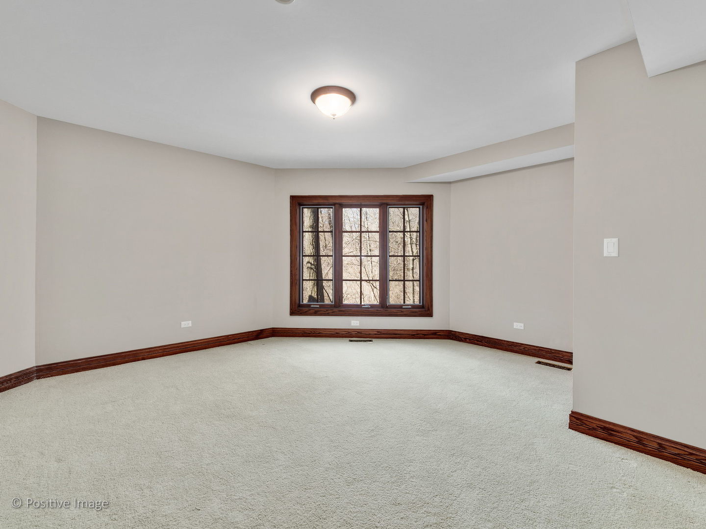 8236 Greystone Court Burr Ridge, IL 60527 - Photo 29 of 33