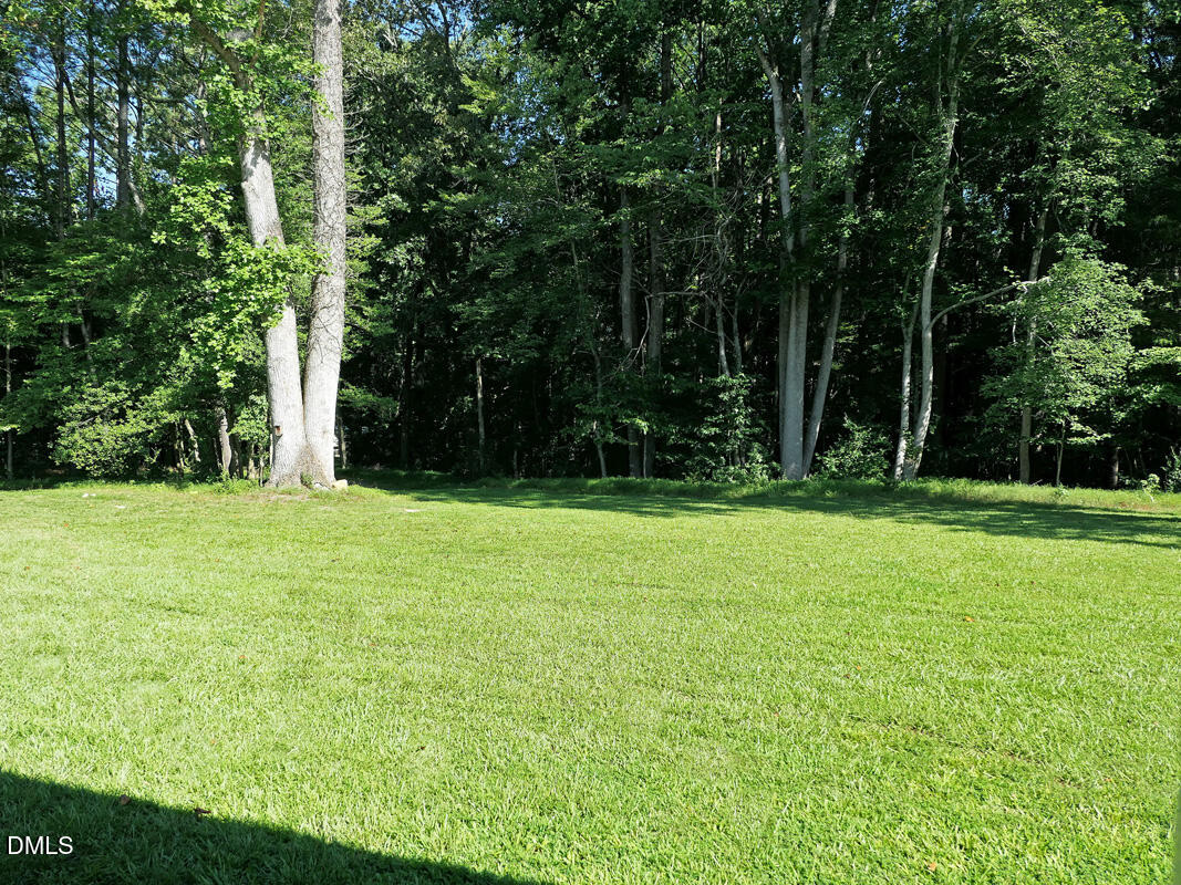 1075 Manns Chapel Road Pittsboro, NC 27312 - Photo 28 of 33 zb Yard 1
