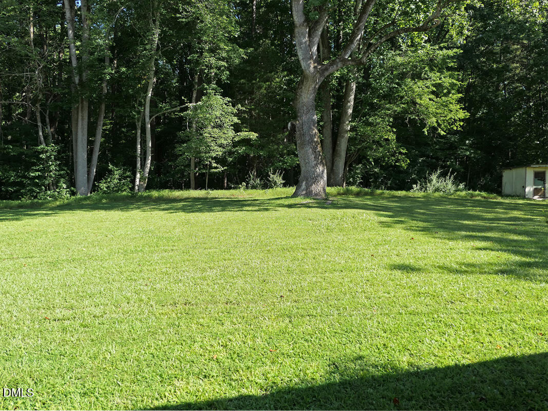 1075 Manns Chapel Road Pittsboro, NC 27312 - Photo 29 of 33 zc Yard 2