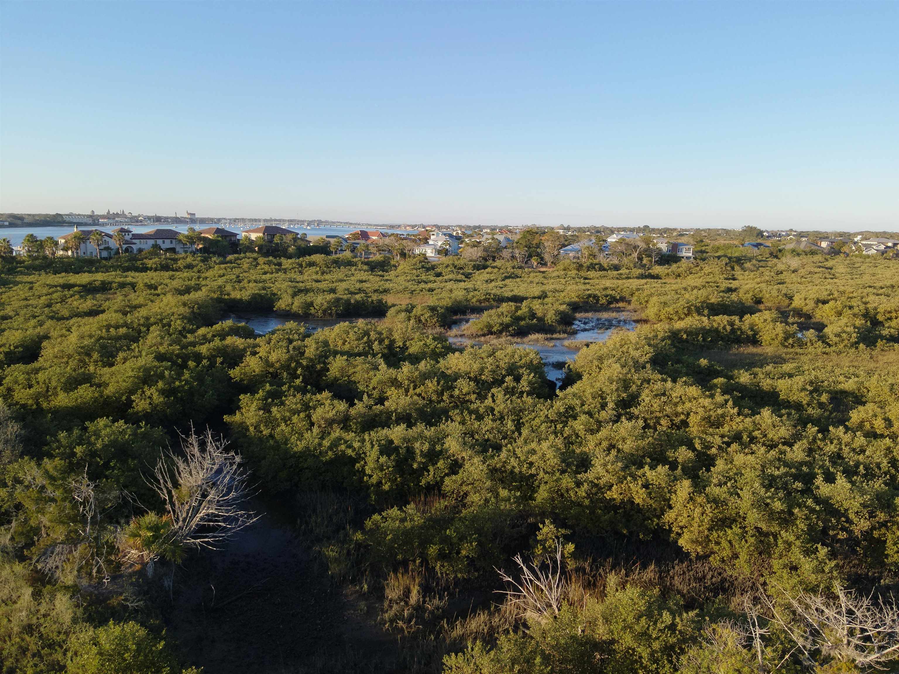 223 Pelican Reef Drive St. Augustine, FL 32080 - Photo 11 of 19