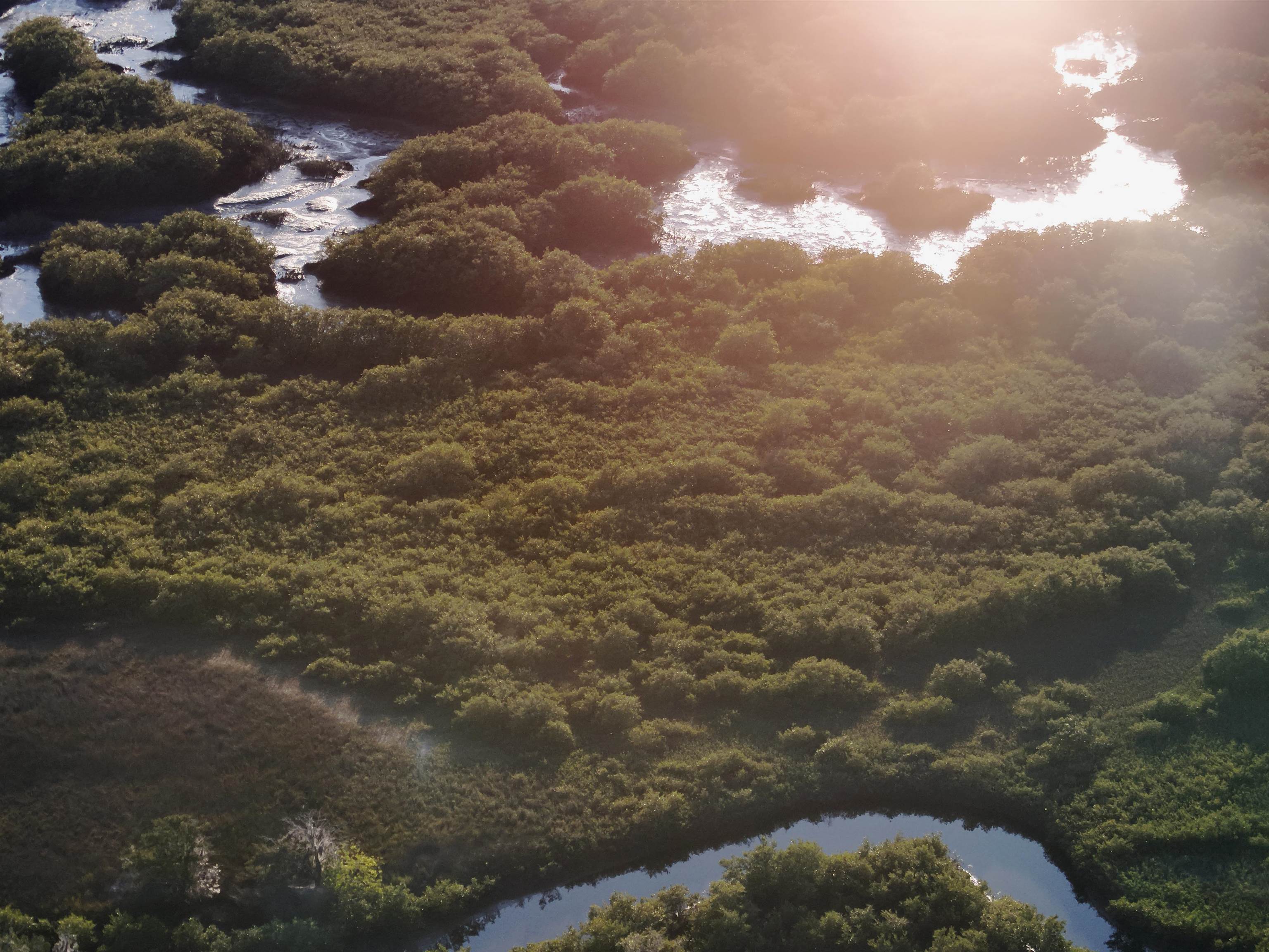 223 Pelican Reef Drive St. Augustine, FL 32080 - Photo 10 of 19