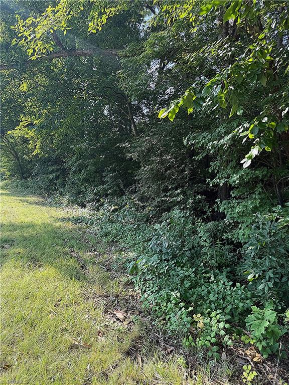 0 U.S. Highway 64 West Trinity, NC 27370 - Photo 2 of 6