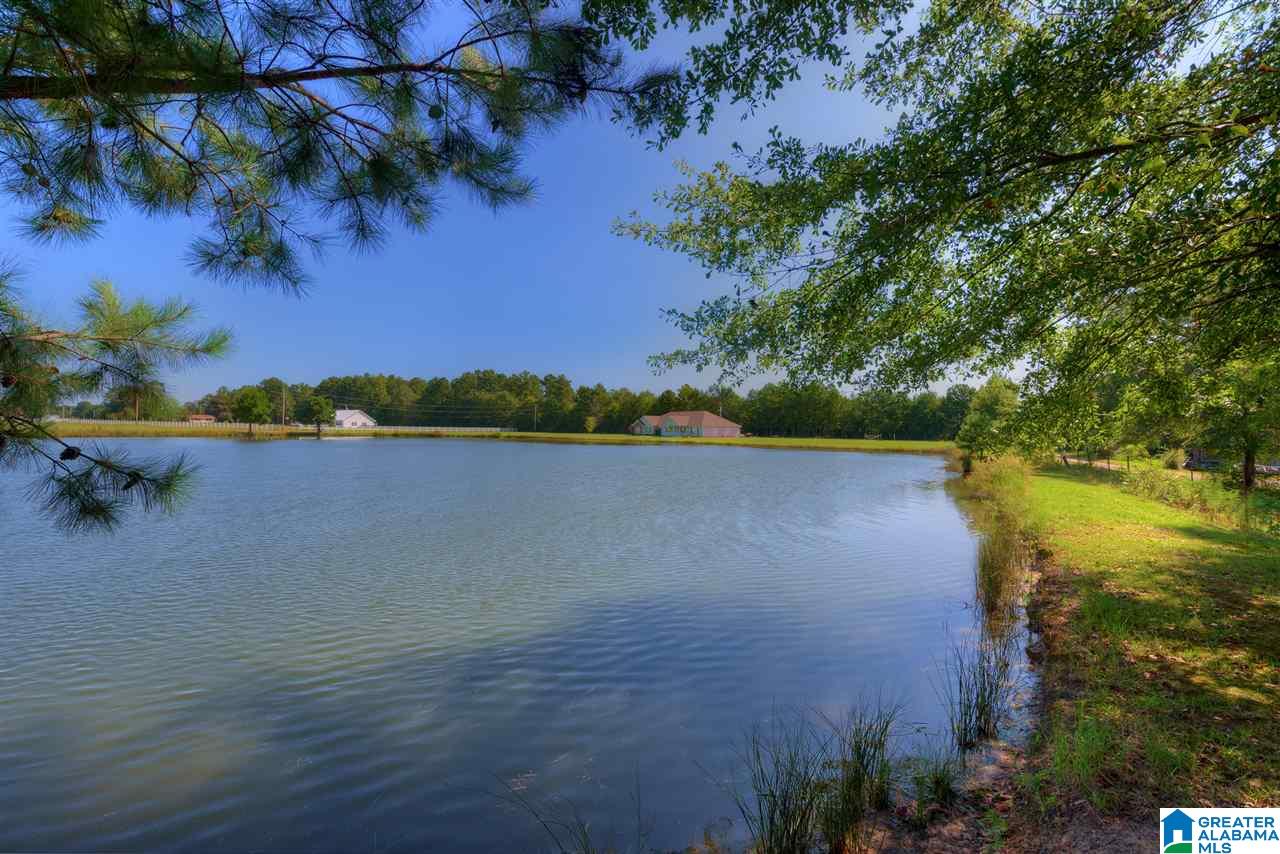 1608 Langston Road Carbon Hill, AL 35549 - Photo 9 of 34 Gallery Image 9