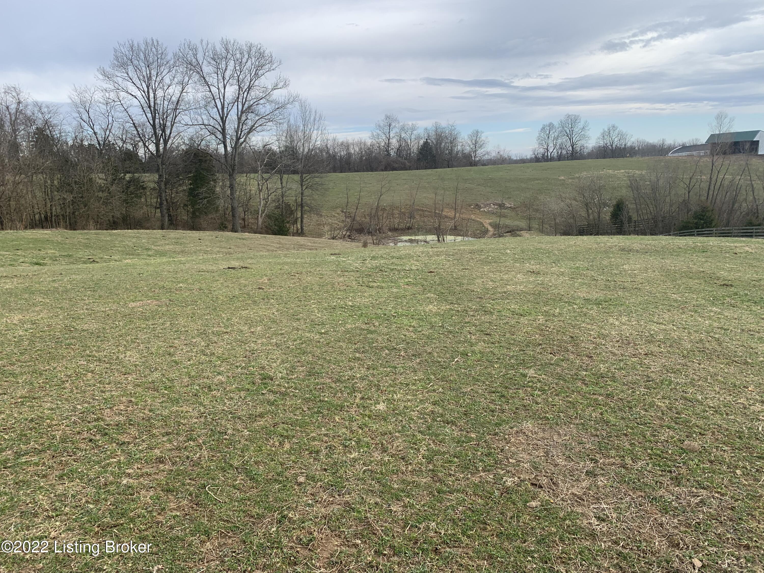 4750 Springfield Road Bloomfield, KY 40008 - Photo 2 of 3 spalding1