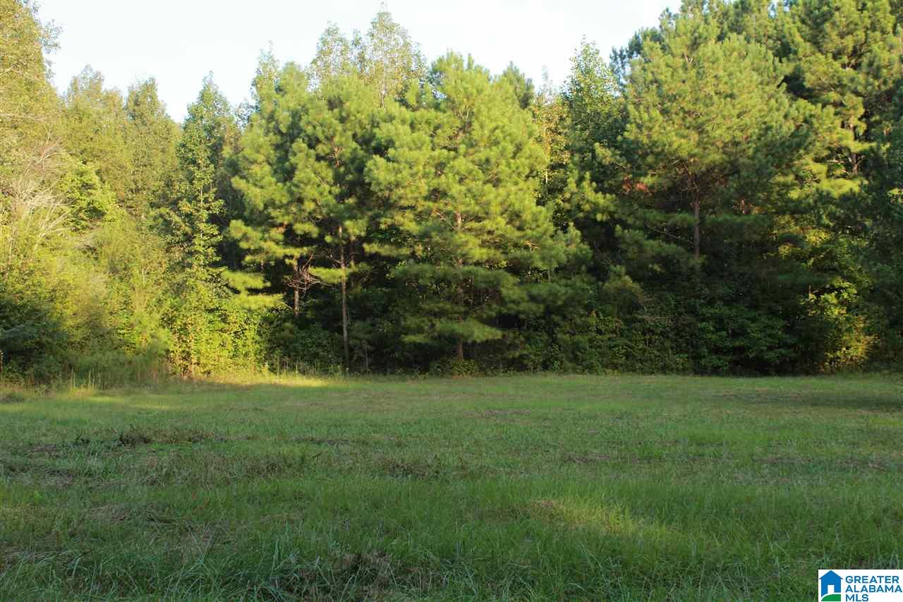 0 Hidden Valley Trail Oneonta, AL 35121 - Photo 3 of 5