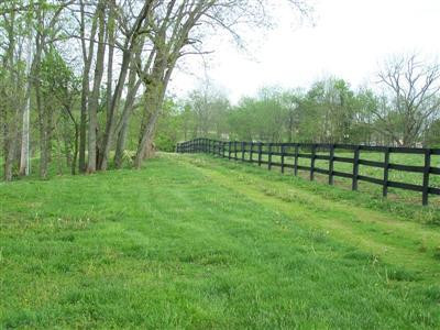 362 Iron Works Road Paris, KY 40361 - Photo 27 of 44 Photo 27