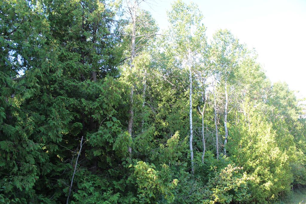 Lot 2 Gibraltar Road Fish Creek, WI 54212 - Photo 5 of 12