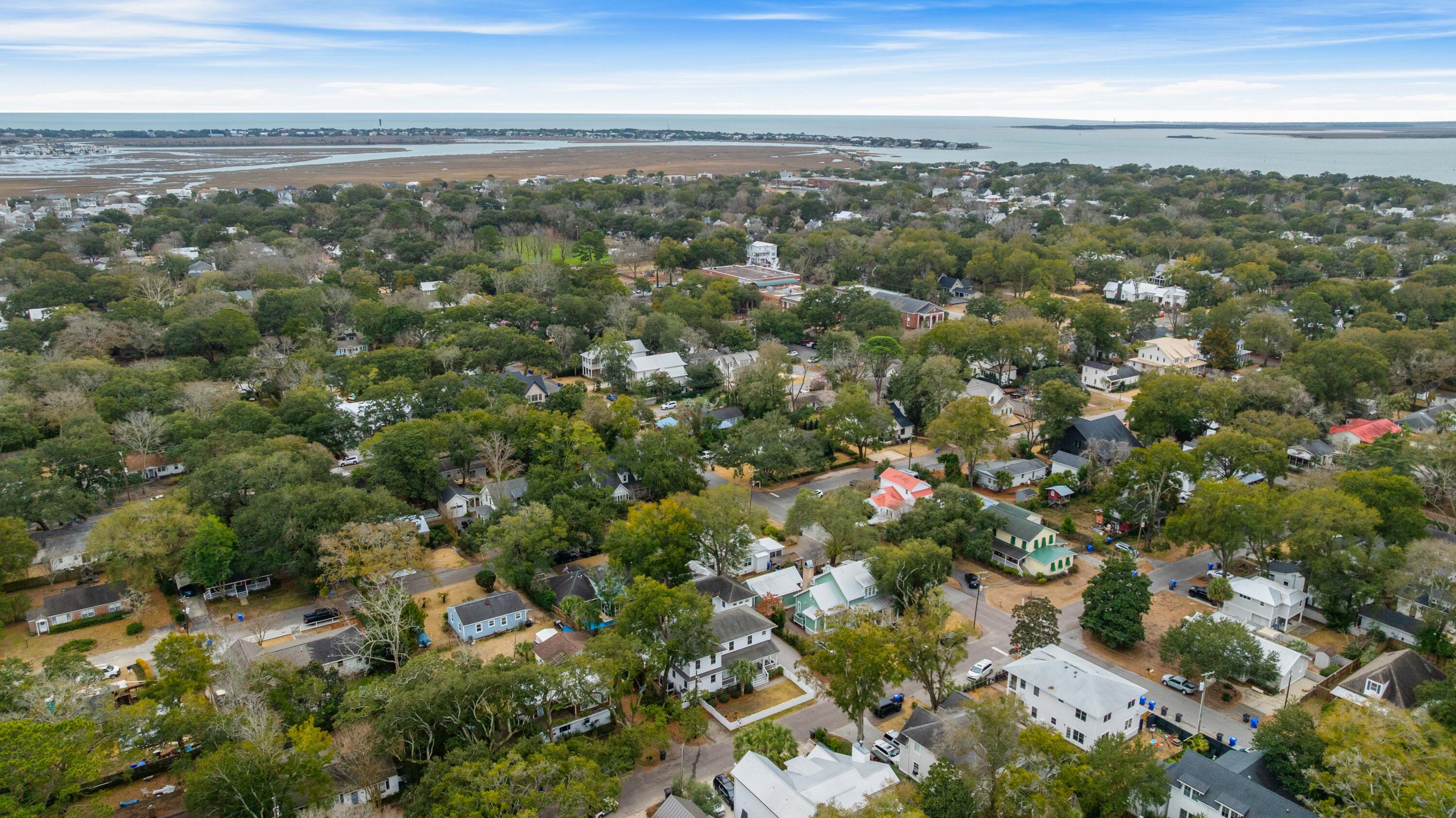 733 Atlantic Street Mount Pleasant, SC 29464 - Photo 41 of 48 101