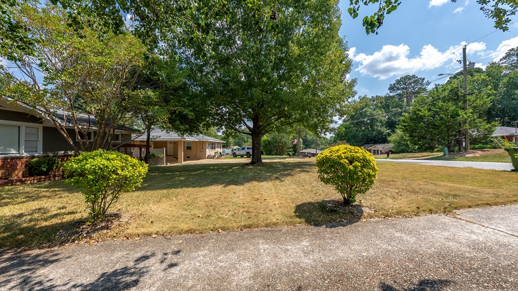 831 53rd Street Columbus, GA 31904 - Photo 36 of 37 a view of a garden with a tree