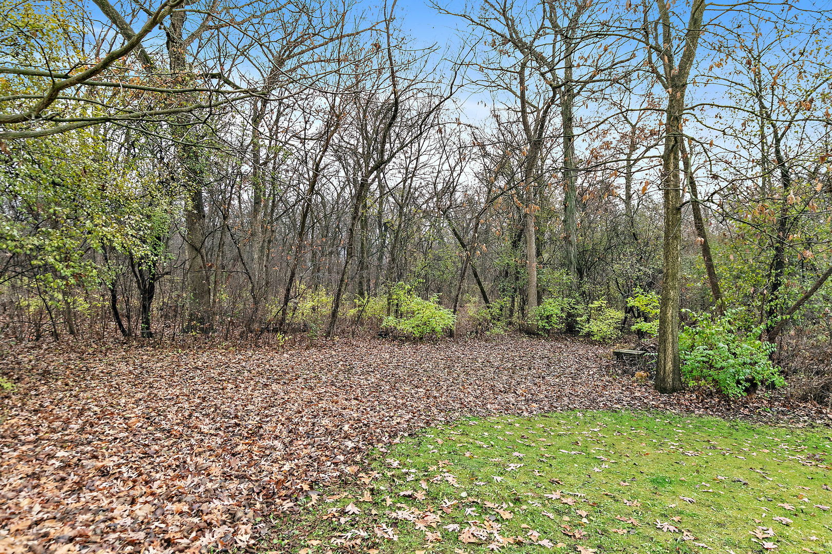 1313 Woods Road Belvidere, IL 61008 - Photo 37 of 50 a backyard of a house with lots of green space