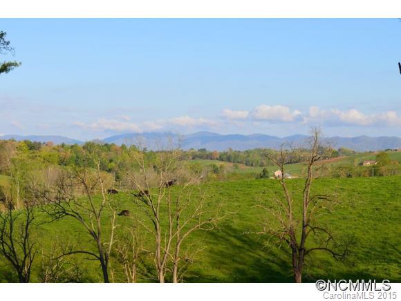 27 Alexander Farms Lane Alexander, NC 28701 - Photo 2 of 24